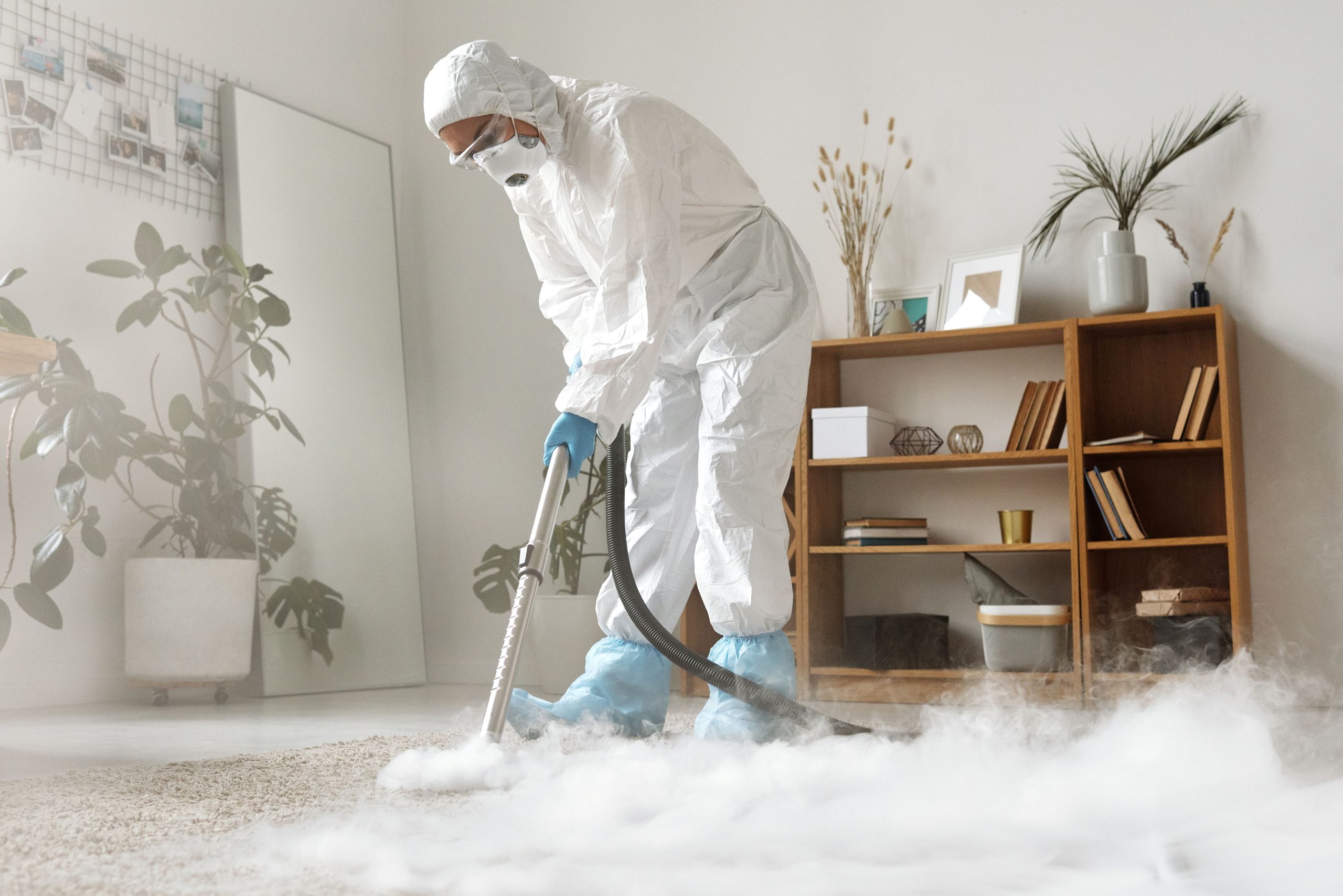 Professional carpet cleaning Rogue Valley Medford Oregon